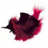 AussieSuperStore Art & Craft Essentials Craft Feathers Red/Black Craft Feathers Red/Black | Artificial Feathers 9331468023081 VCF19